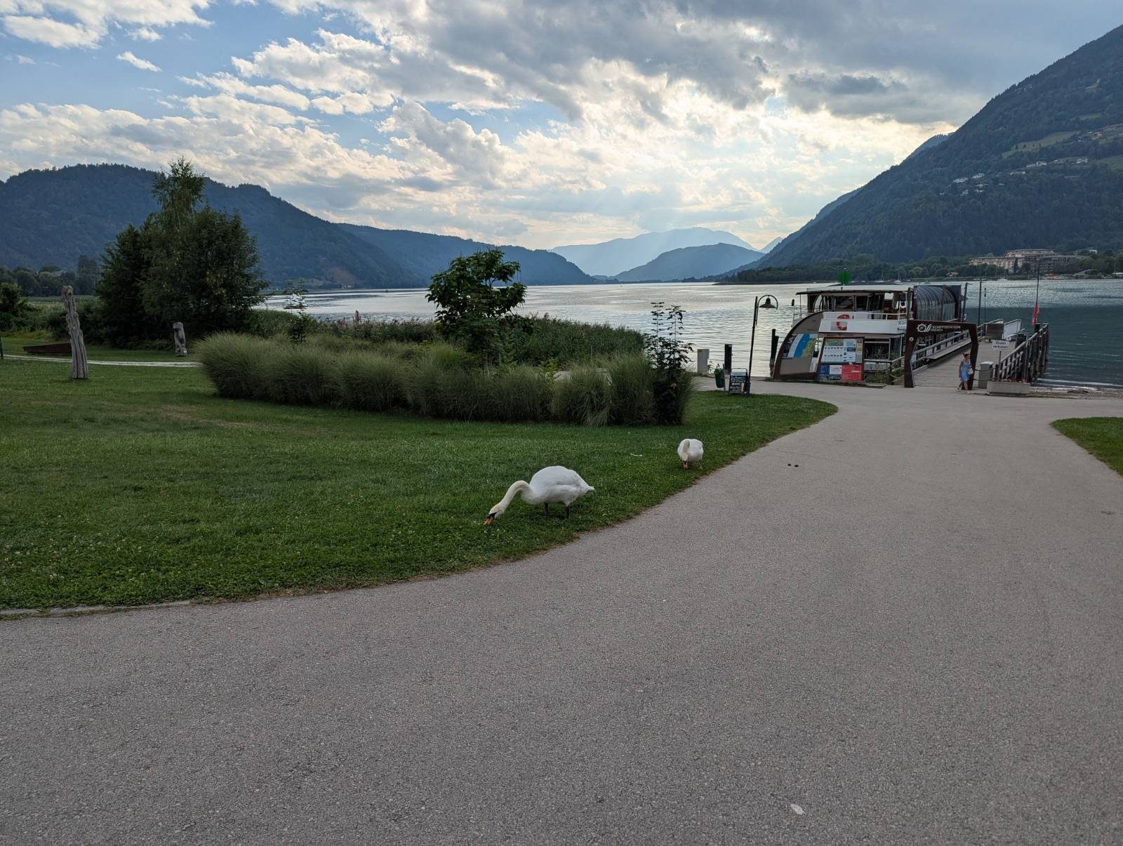 Schwäne an der Uferpromenade